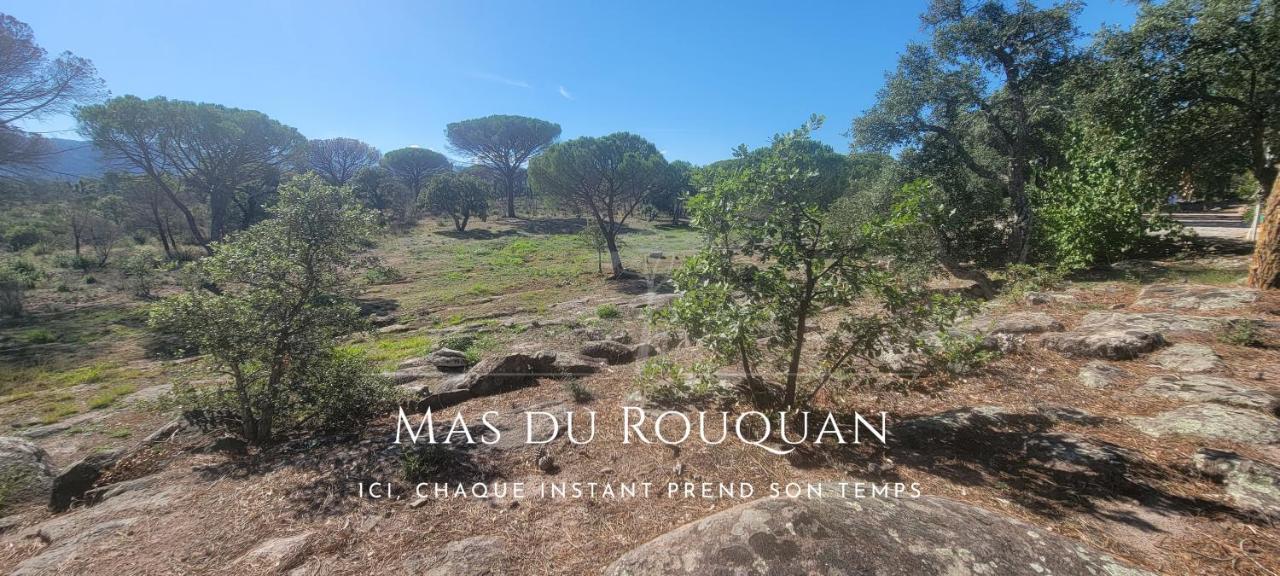 Le Mas Du Rouquan Vidauban Esterno foto
