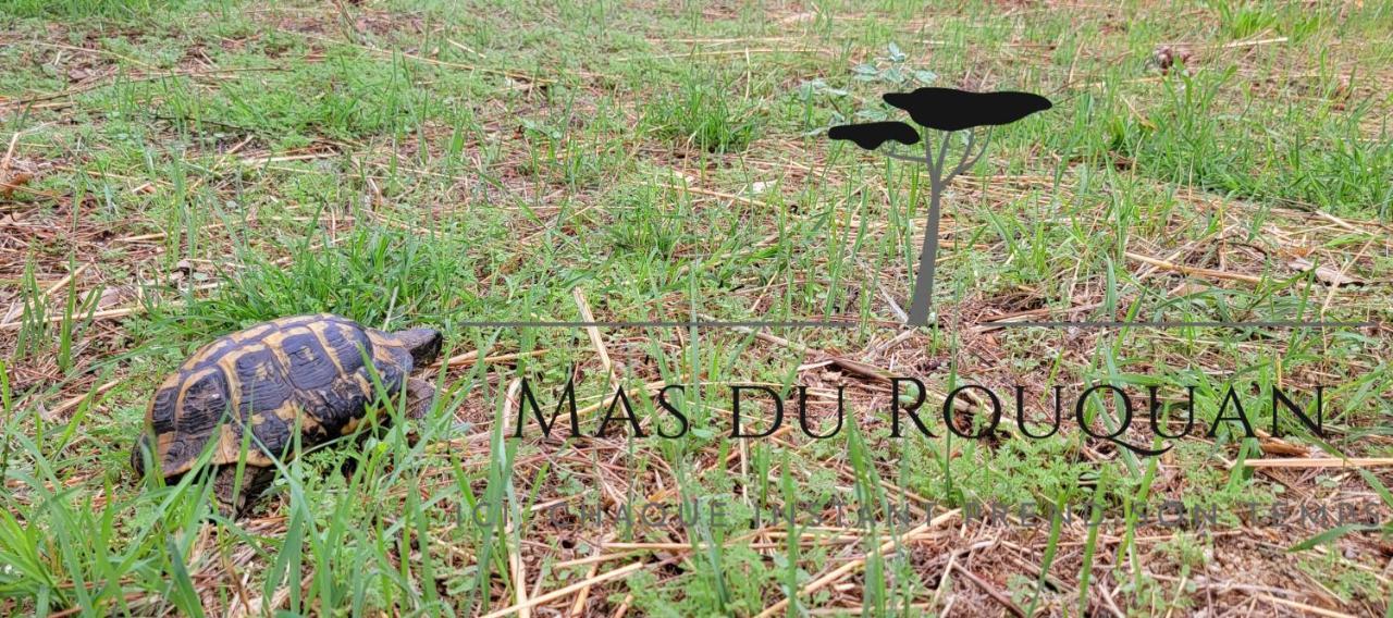 Le Mas Du Rouquan Vidauban Esterno foto